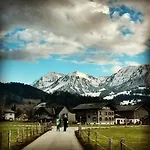 Adler Lingenau