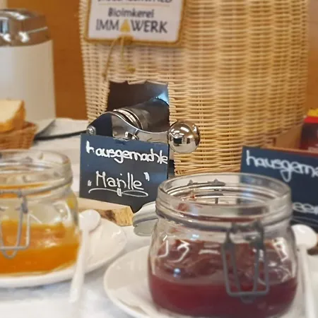 Adler 酒店 林格瑙